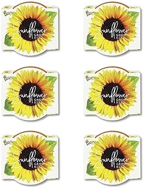 BUZZY Seeds Sunflower Grow Kit 6-Pack, Mini Terracotta Pots, Indoor Garden - Image 2