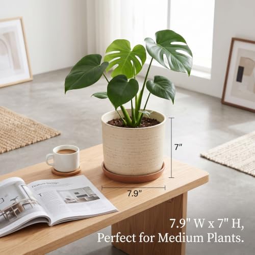 8 Inch Ceramic Plant Pot with Drainage Hole & Separate Saucer - Image 3