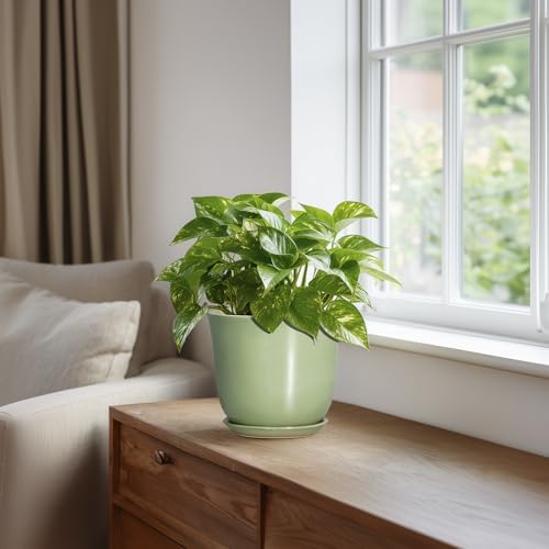 5.6 Inch Plant Pot - Ceramic Pots for Plants Indoor Outdoor, Round Orchid Succulent Pot with Drainage Hole and Saucer, Modern Small Planter, Home Room Window Decor, Plants Lover Gift, Green - Image 5