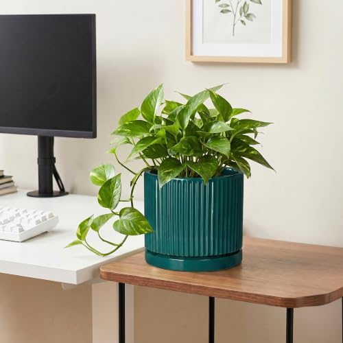 8 Inch Ceramic Planter, Round Pots for Plants, Blackish Green - Image 5