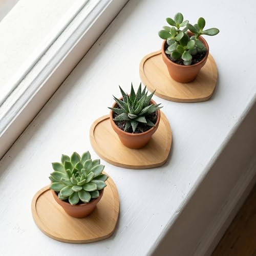 HOIGON 30 Pack Bamboo Coasters, 4 Inch Natural Wooden Coasters, Heart Bamboo Tray Saucer Set for Drinks, Crafts, Succulents - Image 6