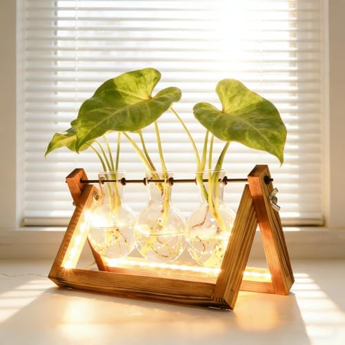 Plant Propagation Station with 9-Speed Adjustable LED Lights Air Planter Bulb Glass Vase Wooden Stand Plant Terrarium for Hydroponic Plants for Plant Lovers Home Garden Office - Image 4