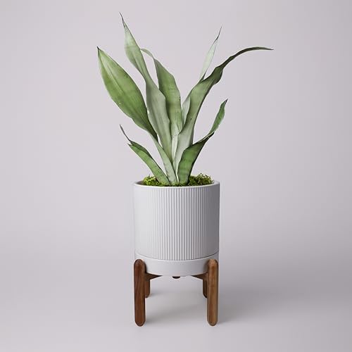 HERDUK 8 Inch Ceramic Planter with Natural Wood Stand w/Drainage & Saucer - Modern Indoor Planter for Cacti, Snake Plants & Aloe Vera by Herduk