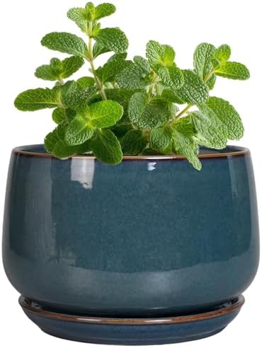 G EPGardening Ceramic Pots for Plants - 4 inch Plant Pots for Indoor Outdoor, Small Planter with Drainage Hole & Tray, Modern Succulent Pots, Round Planter, Office Decor, Home Gifts, Retro Blue by GEPGardening