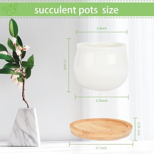 SHECIPIN Succulent Pots, White Mini 2.5 inch Ceramic Flower Planter Pot with Bamboo Tray, Pack of 12 - Plants Not Included - Image 2