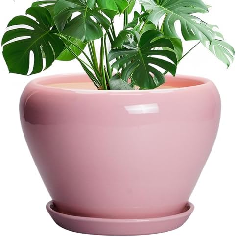 Ceramicfor 10 Inch Plant Pot - Ceramic Planter for Indoor Plants, Glaze Modern Round Planter with Drainage Hole and Saucer, Gifts for Plant Lovers, Office Patio Home Room Decor, Pink by Ceramicfor