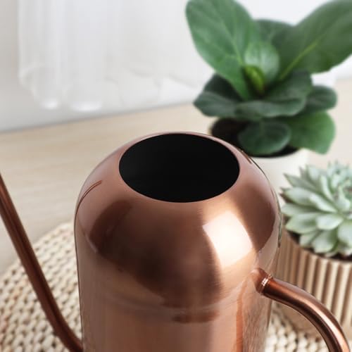 Watering Can Indoor Outdoor Plants, 50oz/1500ml Garden Long Spout Watering Cans, Stainless Steel Plants Watering Can Pot for Indoor House Plants Bonsai Flower Decorative - Image 4