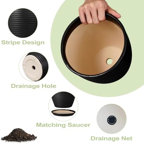 6 Inch Plant Pot - Ceramic Planters for Indoor Outdoor Plants, Modern Flower Pots with Drainage Hole and Saucer, Round Ceramic Planter, Office Room Decor, Gifts for Plant Lovers, Matte Black - Image 7