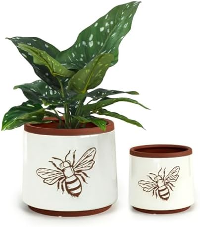 Terracotta Pots, 6+4 Inch Plant Pots, 2 Pcs with Drainage Holes by YBXYIBOXUAN