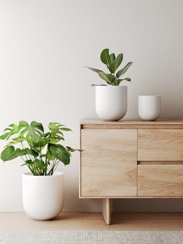 LE TAUCI 10 Inch Plant Pot, Ceramic Pots for Plants with Drainage Hole and Rubber Plug, Plant Pots Indoor for Olive Tree, Cylinder Planter Pot for Home Patio Office, White - Image 4