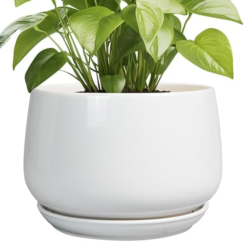 G EPGardening Ceramic Planter 9 Inch - Plant Pots with Drainage and Ceramic Saucer, Flower Pots for Indoor Plants, Modern Outdoor Planter, Living Room Decor, Gifts for Plant Lovers, White by GEPGardening