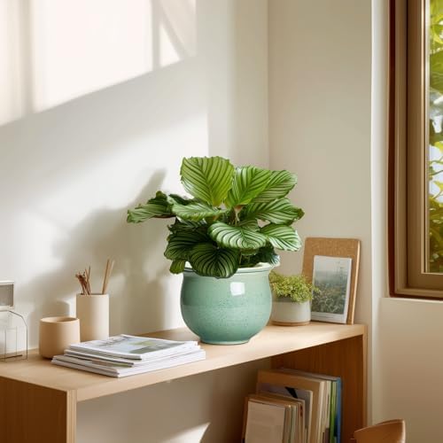 Ceramic Self Watering Pots, 6 Inch African Violet Pots with Absorbent Inner Pot, Round Self Watering Planter for Indoor Plants, Ceramic Pot for Plants, House Decor, Gifts for Women Men, Green - Image 7