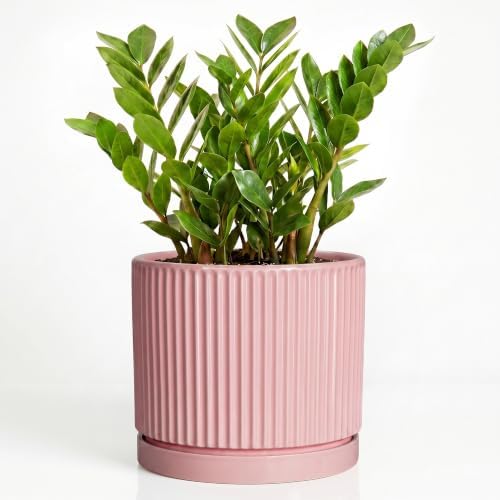 10 Inch Planter, Ceramic Pots for Plants, Round Plant Pots, Pink by Unknown