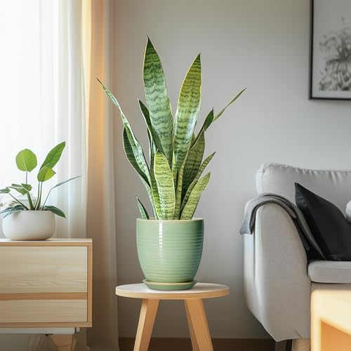 Ceramic Plant Pots - 6 Inch Ceramic Planter with Drainage Hole and Saucer, Modern Planters for Indoor Outdoor Plants, Round Flower Pots, Office House Decor, Gifts for Women Men, Bright Green - Image 6