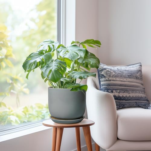 Ceramic Planter for Indoor Outdoor Plants - Cylinder Decorative 8 Inch Plant Pot with Drainage Hole and Saucer, Modern Home Decor, Gray - Image 7