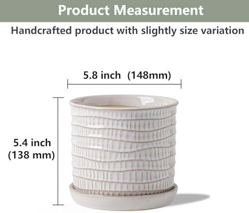 5.8 Inch Plant Pot: Ceramic Planter with Drainage Hole & Saucer - Cream White Flowerpot for Indoor & Outdoor Plants - with Separate Tray for Home & Office - Wave Embossed Design - Image 2