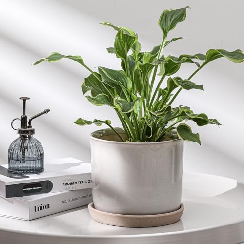 8 Inch Ceramic Planter with Drainage Hole & Bonded Saucer - Image 5