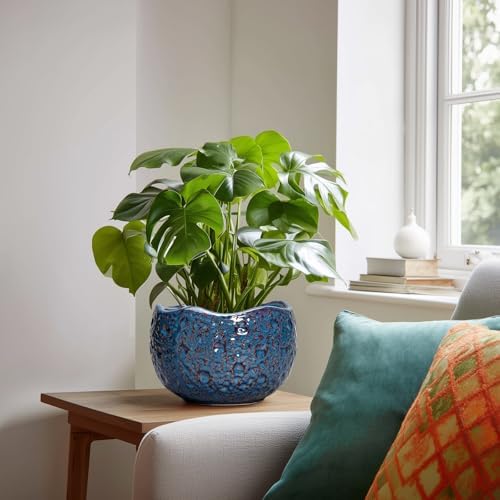 8 Inch Plant Pot, Ceramic Planter for Indoor Plants, Retro Blue - Image 3