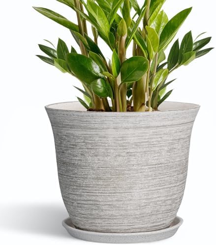 Ceramic Flower Pots - 10 Inch Plant Pot with Drainage Hole and Saucer, Round Planter for Indoor Outdoor, Modern Planters, Large Flower Pot, Home Porch Garden Decor, Plant Lover Gifts, Grey by SUNPOTFOR