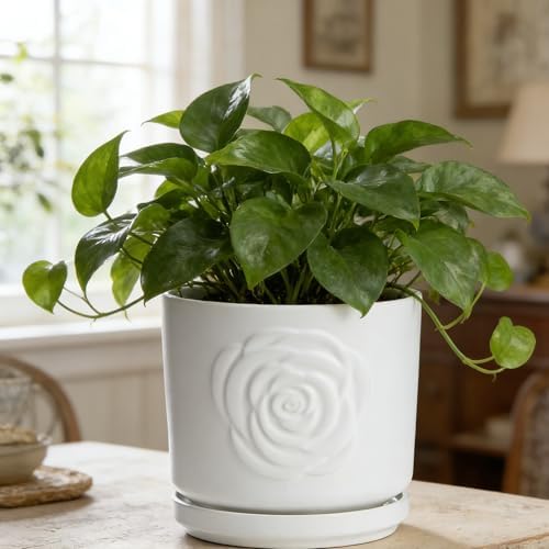 Ekirlin 7 Inch Plant Pot for Indoor Plants, Modern Ceramic Glaze Planters, Round Planter Pot with Drainage Hole and Saucer, Pothos Flower Pots for Succulent, Orchid, Snake Plant,Gift for Plant, White - Image 3