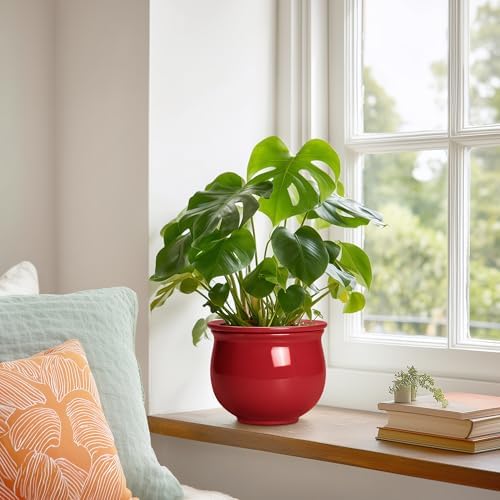 Ceramic Self Watering Planter, 6 Inch African Violet Pots with Absorbent Inner Pot, Round Self Watering Pots, Ceramic Flower Pot for Plants Indoor, Porch Decor, Plant Lover Gifts for Men, Red - Image 4