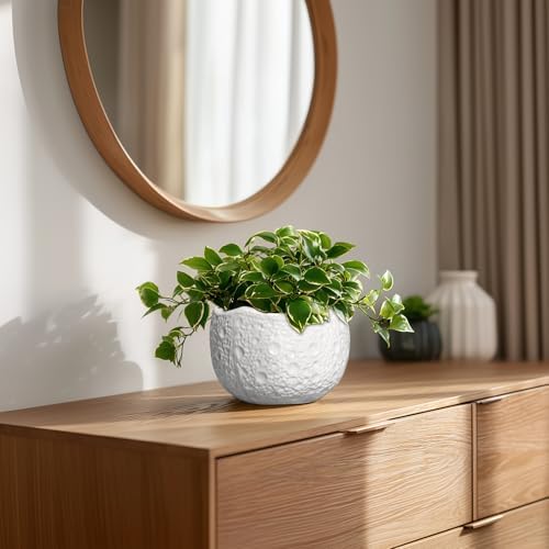 Ceramic Pots for Plants - 6 Inch Plant Pot for Indoor Outdoor, Decorative Orchid Pots with Drainage Hole, Unique Round Modern Planters, Home Decor, Gifts for Plant Lovers, White - Image 7