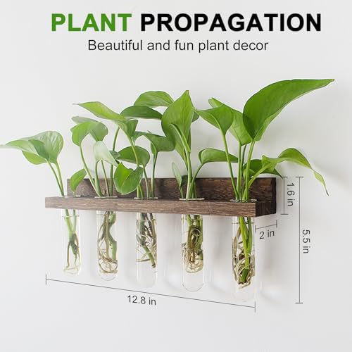 Renmxj Wall Hanging Plant Propagation Station 15 Glass Test Tubes - Brown - Image 2