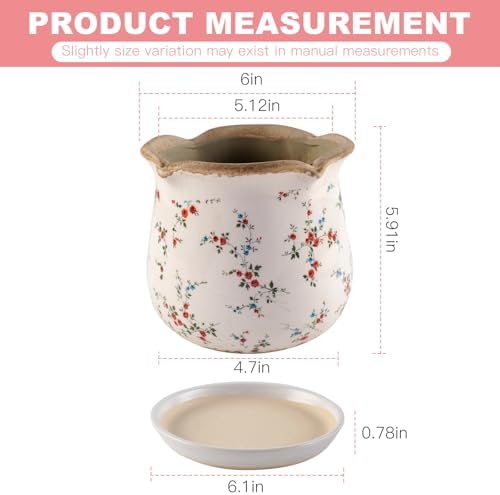Ceramic-Planters-for-Indoor-Plants with Saucer, 6 inch Vintage Ice Crackle Glaze Plant Pots with Drainage Holes, Decorative Flower Pots for Outdoor Garden Home Decor, Tuscan Pot for Plant - Image 4