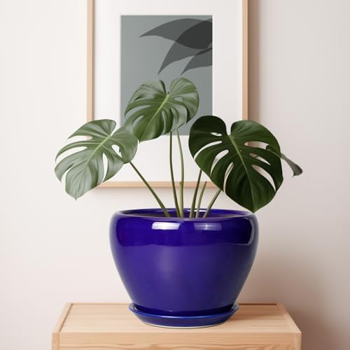 Ceramicfor Ceramic Planter 10 Inch, Indoor Plant Pot for Plants, Royal Blue - Image 7
