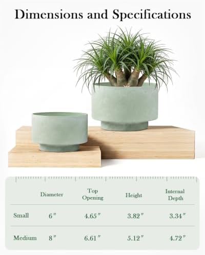 Succulent Pots, 8"+6" Plant Pots, Ceramic Planters for Indoor Plants - Image 5