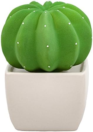 Dotti Cactus, Non-Electric Ceramic Diffusers for Essential Oils and Aromatherapy Fragrance, White Ceramic Diffusers in Car or Desk Office Decor and Small Bathroom at Home, White Vase by Haveaniceday