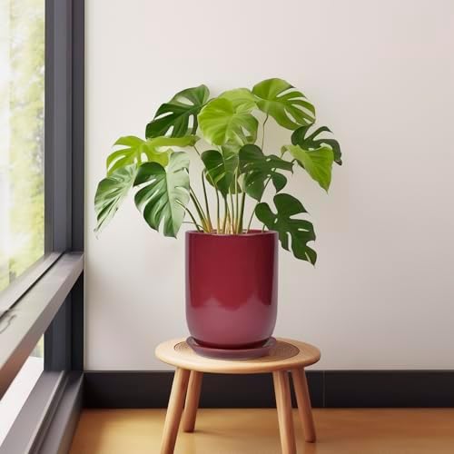 Ceramic Pot for Plants - 8 Inch Plant Pot Indoor with Drainage Hole and Saucer Cylinder Flower Pot for Indoor Outdoor Plants Home Patio Office Decor Red - Image 4