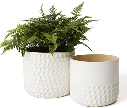 LA JOLIE MUSE Ceramic Plant Pots, Flower Pots for Indoor Plants, Set of 2 by LaJol%C3%ADeMuse