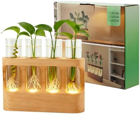 Rechargeable Plant Propagation Station with Wooden Stand,Desktop Terrarium Home Decor Dimmable LED Light 4 Glass Tubes Vases for Hydroponic Plants for Women by Unknown
