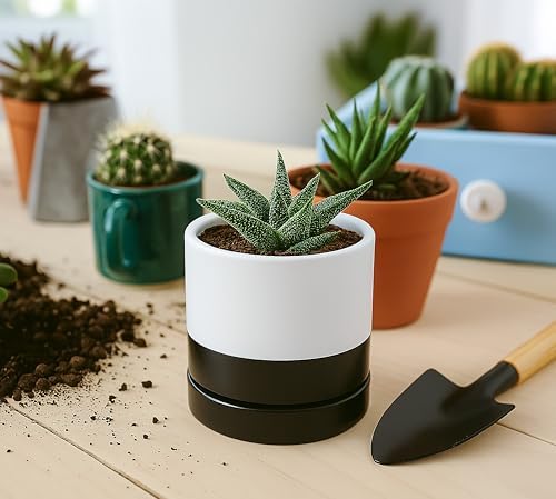 D'vine Dev 4.7 Inch Ceramic Planter Pot, Black White Two Tone, 94-O-B-L - Image 5
