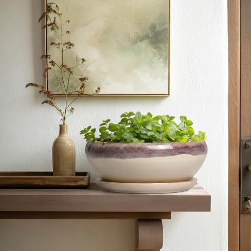 SQOWL Bonsai Tree Pots - 10 Inch Ceramic Succulent Pots, Round Shallow Planter with Drainage Hole and Tray, Bowl Planter for Indoor Outdoor Plants Flowers, Room Decor, Garden Gifts, Beige - Image 6