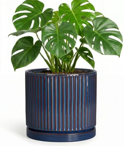 8 Inch Plant Pot, Ceramic Planters with Saucer, Retro Blue by Unknown