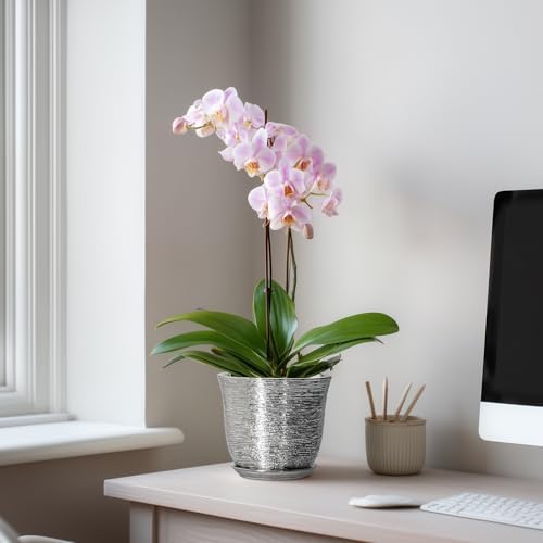 5.6 Inch Plant Pot, Ceramic Pots for Plants Indoor, Silver - Image 3