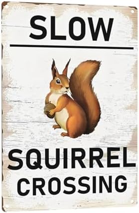 Slow Squirrel Crossing Vintage Tin Sign,Vintage Farm Decor Squirrel Warning Tin Poster Street Decor Signs for Home Garden Yard Bar Pub Outdoor Man Cave Decor 8 X 12 Inch by C-CHAIN
