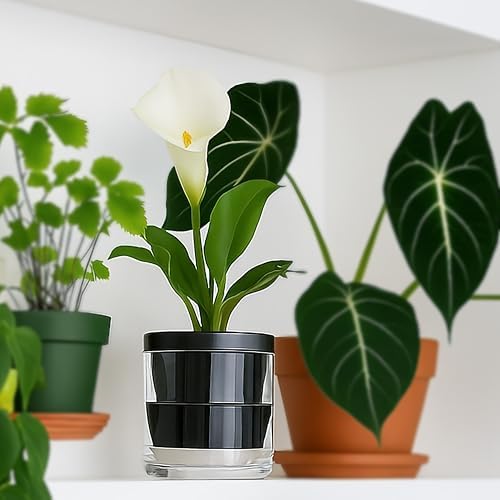 D'vine Dev Self-Watering Black Terracotta Planter, 4 in, 3-Pack, 37-Z-A-3-T - Image 4