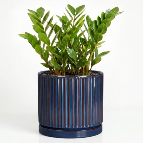 Ceramic Planter, 10 Inch Plant Pots with Saucer, Retro Blue by Unknown