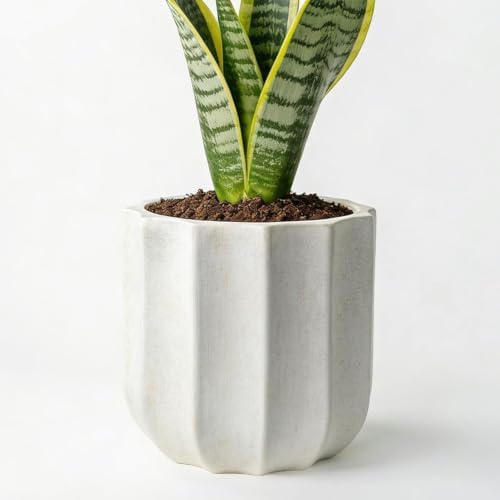 10 Inch Ceramic Plant Pot for Indoor Plants with Drainage Hole by AvyraVelen