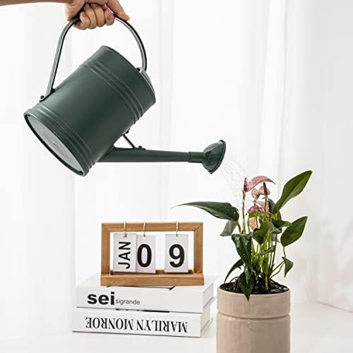 Plastic Indoor Watering Can with Sprinkler Head - 68 oz, 1/2 Gallon - Image 5
