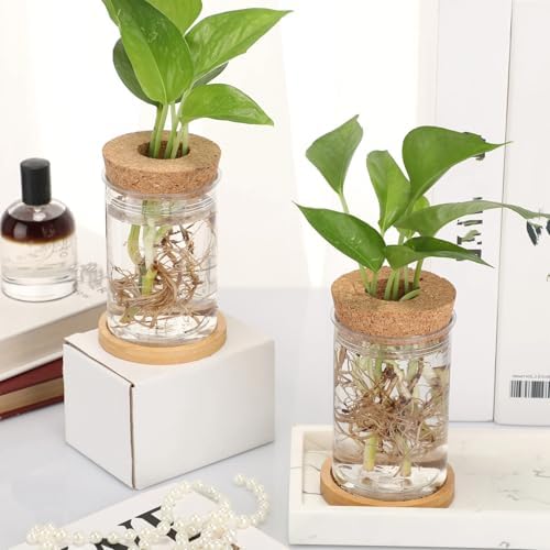 Baderke 12 Pack Propagation Vases for Plants, Classic Style - Image 5
