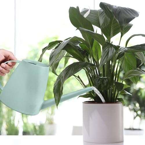 Plastic Watering Can - for Indoor and Outdoor House Plant Garden - with Long Spout - 1/2 Gallon - Light Green - Image 5