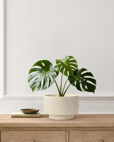 Succulent Pots, 8"+6" Plant Pots, Ceramic Planters for Indoor Plants - Image 4