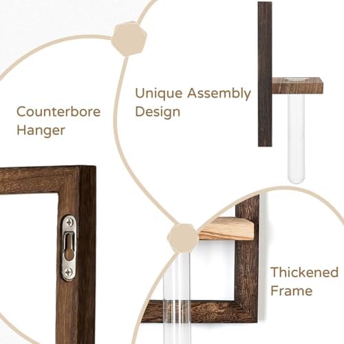 Wall Propagation Station Set with Glass Tubes - Image 5