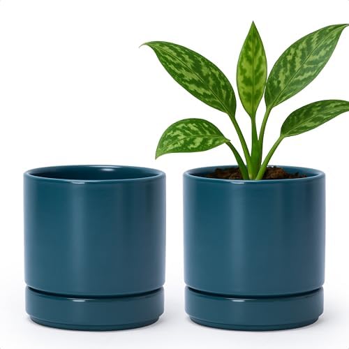 D'vine Dev 2-Pack Ceramic Pots with Saucers, Teal, 4.7 in, 94-V-B-9 by DvineDevPlanterPotsandStand