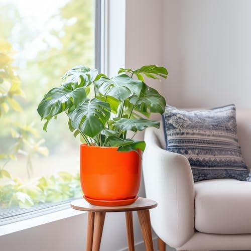 Ceramic Pot for Plants - 8 Inch Plant Pot with Drainage Hole and Saucer, Cylinder Modern Round Planter for Indoor Outdoor Plants, Housewarming Gifts, Office Home Garden Decor, Orange - Image 7
