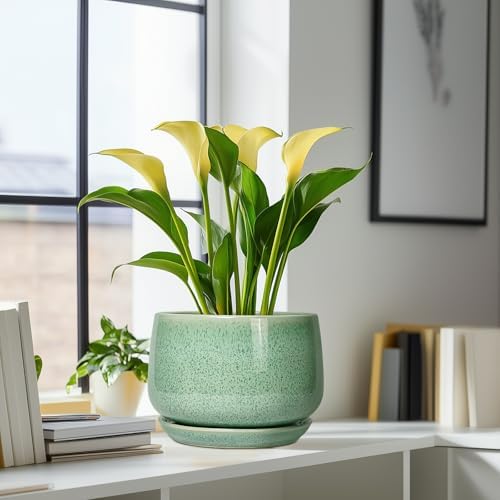 G EPGardening Ceramic Planter, 9 Inch Plant Pot, Green - Image 6